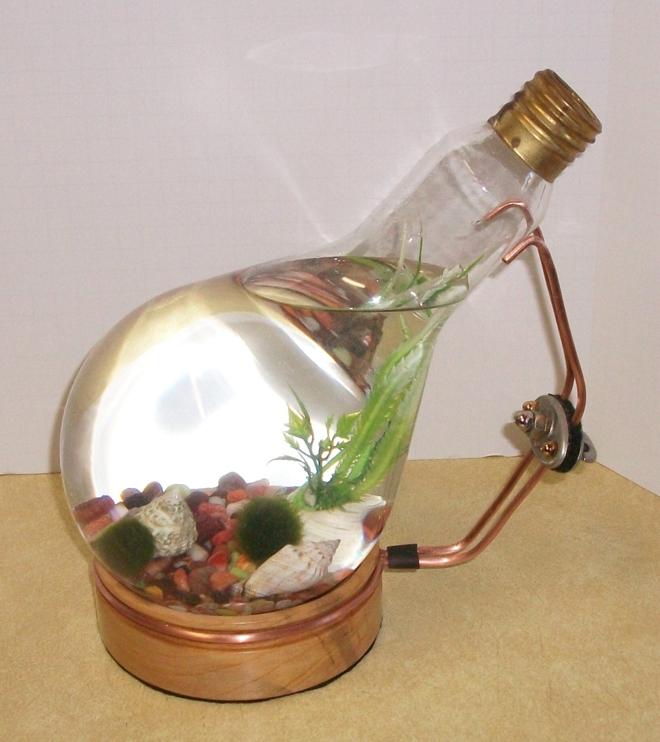 Marimo Moss Ball Terrarium DIY Kit Large Glass Lamp Bulb