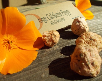 Orange California Poppy seeds, Seed Bombs, guerilla gardening, plantable paper, flower seed bomb favor seed kits paper seeds gift for wife