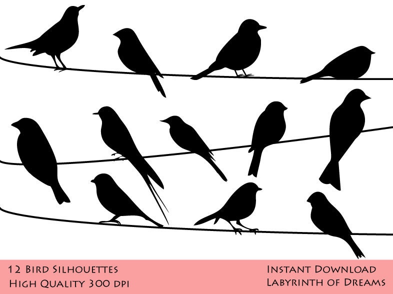 Download Bird Silhouettes Digital clip art