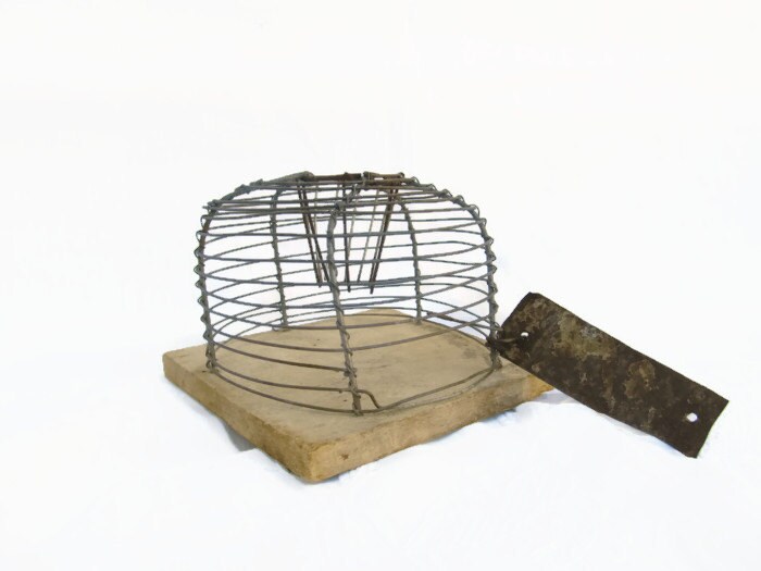 1920s Trap Mouse trap Vintage mouse trap antique trap