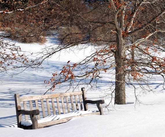 Items similar to Winter Scene Snow Covered Bench Photograph, Cornell ...