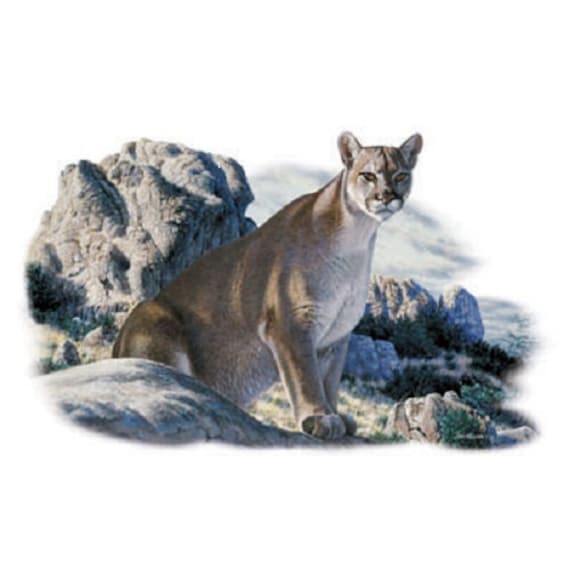 Mountain Lion T SHIRT Cougar Wild CatSweatshirt Quilt