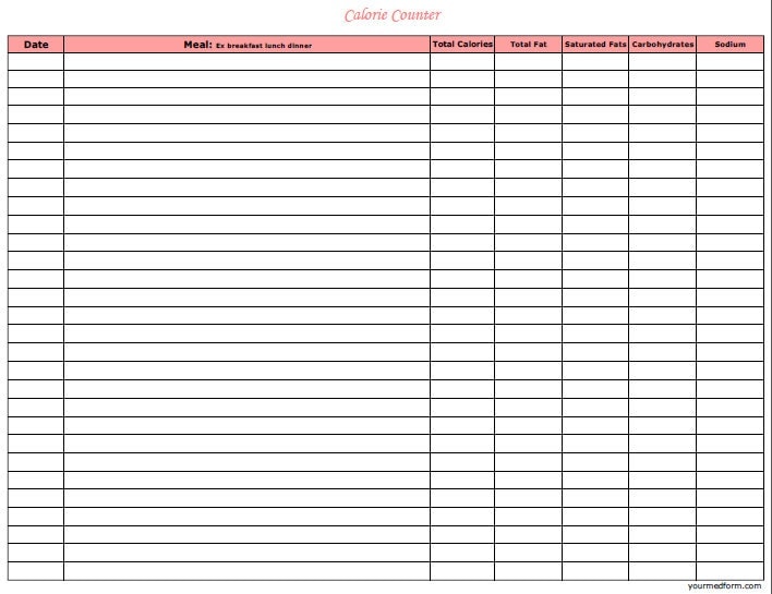 calorie log