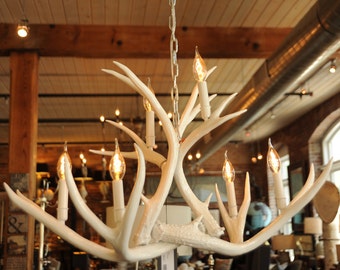 White Real Antler Chandelier, Modern, Mule Deer, High Gloss, Edison Bulbs, Unique Chandelier