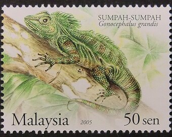 Great angle head lizard Gonocephalus grandis -Handmade Framed Postage Stamp Art 11256