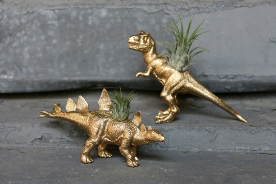 Dinosaur Planter 2x TILLANDSIA-SAURUS T-Rex + Stegosaurus GOLD