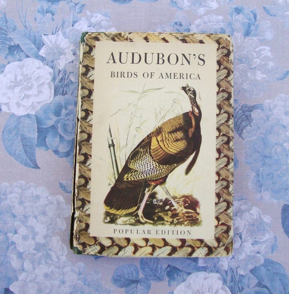 Audubon's Birds of America Hardcover Nature Book