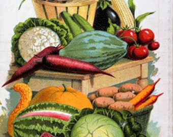 129 Vintage Nursery and Seed Catalog Images