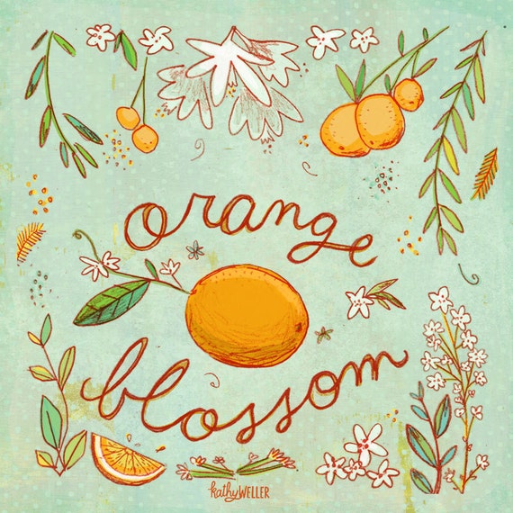 Orange Blossom botanical square art print by kathywellerart