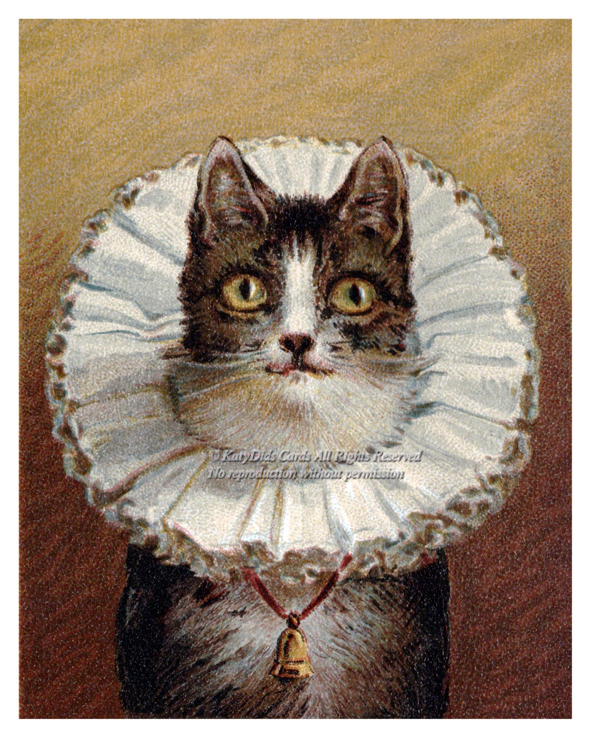 Victorian Cat  Print Wears Lace  Collar Bell Around Neck