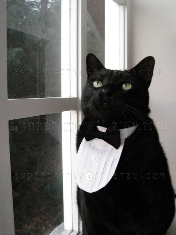 Cat Tuxedo Classic Black Tie by SnoopCattyCatt on Etsy