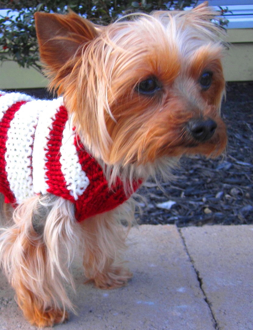 Tiny dog sweater Tea cup dog sweater puppy sweater dog