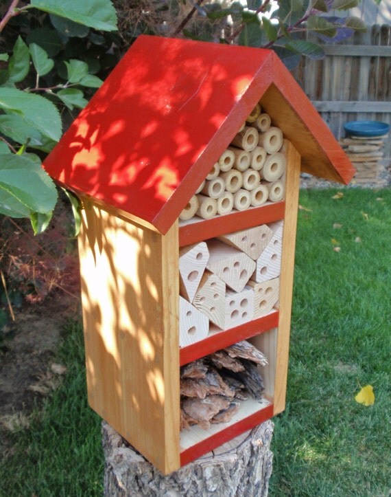 Handmade Bug House All Natural Bug Box Insect by PersnicketyHome