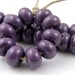 Thai Orchid - Handmade Artisan Lampwork Glass Spacer Beads - 5mmx9mm SRA (Set of 10 Spacer Beads)