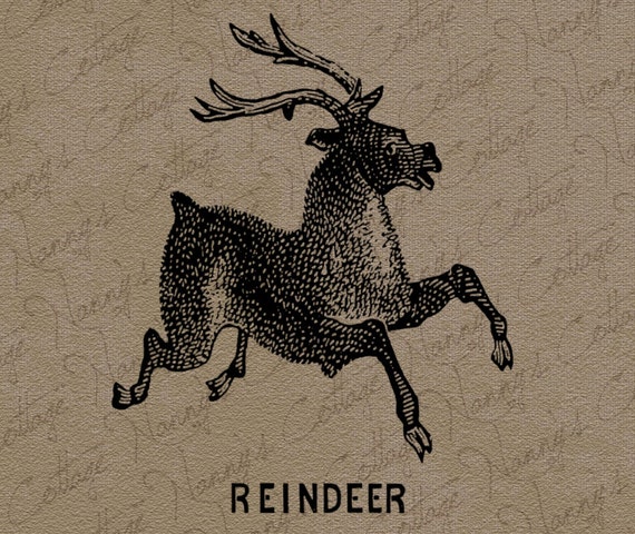 vintage reindeer clipart - photo #13