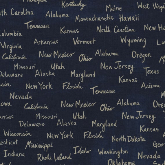 Cotton Steel Hatbox All the States canvas navy 50cm