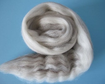Mixed BFL Wool Top - 1oz
