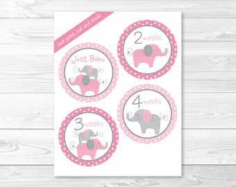 Elephant Monthly Milestone Stickers Printable Onepiece