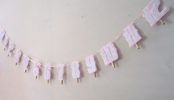 1st 12 Months Photo Banner - 1st Birthday Banner - Silver Glitter on Baby Pink - You Choose Color Il_570xn