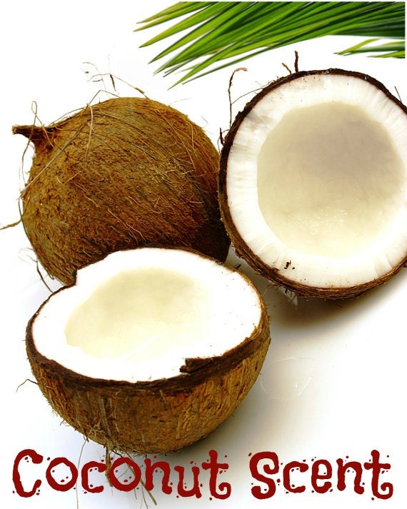 COCONUT SCENTED Soy Wax Melts Fruit Tropical Wickless