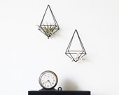 Set of 2 || Himmeli Wall Prism no. 1 | Modern Geometric Art | Air Plant Hanger | Minimalist Home Decor