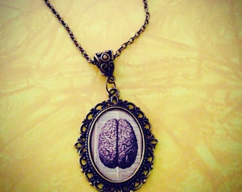 Brains!! 25 x 18mm vintage anatomy picture of Brains in a bronze pendant necklace zombies