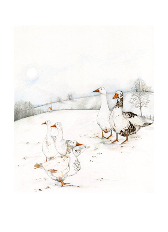 Geese bird print 8x11 illustration bird print