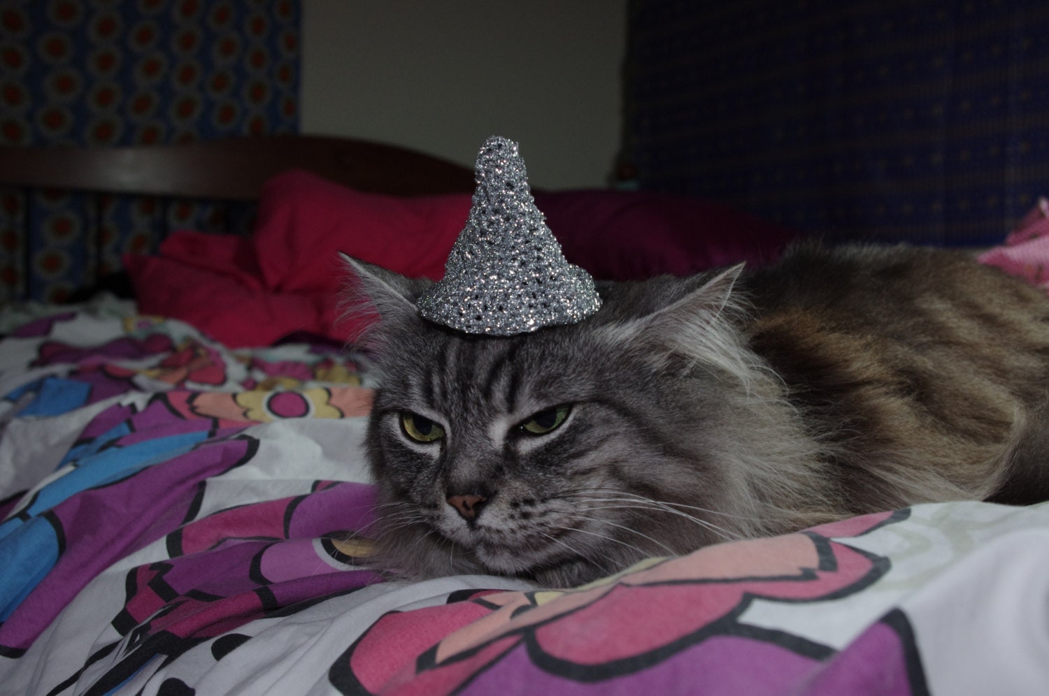 Tin Foil Cat Hat by TheCatsHat on Etsy