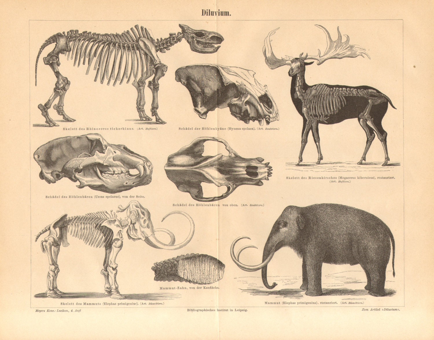 Ice Age Megafauna