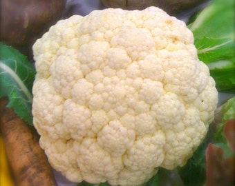 Snowball Heirloom Self Blanching Traditional White Cauliflower Rare Seeds