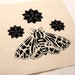 Tiger Moth and Stars Cream Sew On Punk Patch