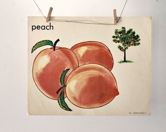Popular items for peach fruit on Etsy
