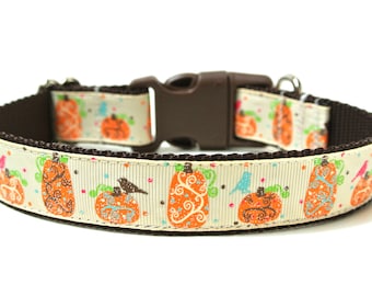 Pumpkin Dog Collar 1" Fall Dog Collar SIZE MEDIUM