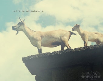 Geit WildLife foto, Retro, Whimsical, inspirerende offerte, Mint, dier, natuur Print, zachte wolken - laten we avonturiers