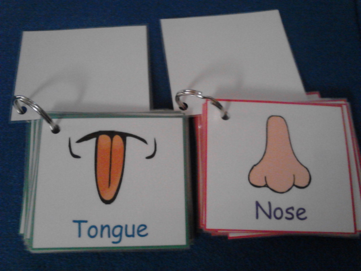 Human Body Parts Flash Cards Human Body Body Parts Human Body Parts Flash Cards Human Body Body Parts