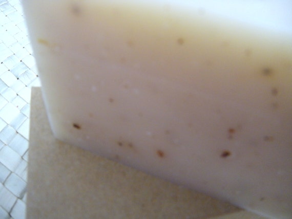 Two Bars FOREST TONIC Handmade Natural Soap  - The Scent of the North Woods - fir needles, pine, juniper berry, and spruce