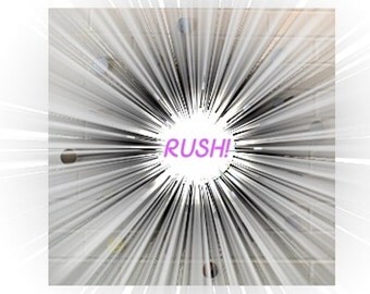 Rush Completion for your Metal Art Purchase