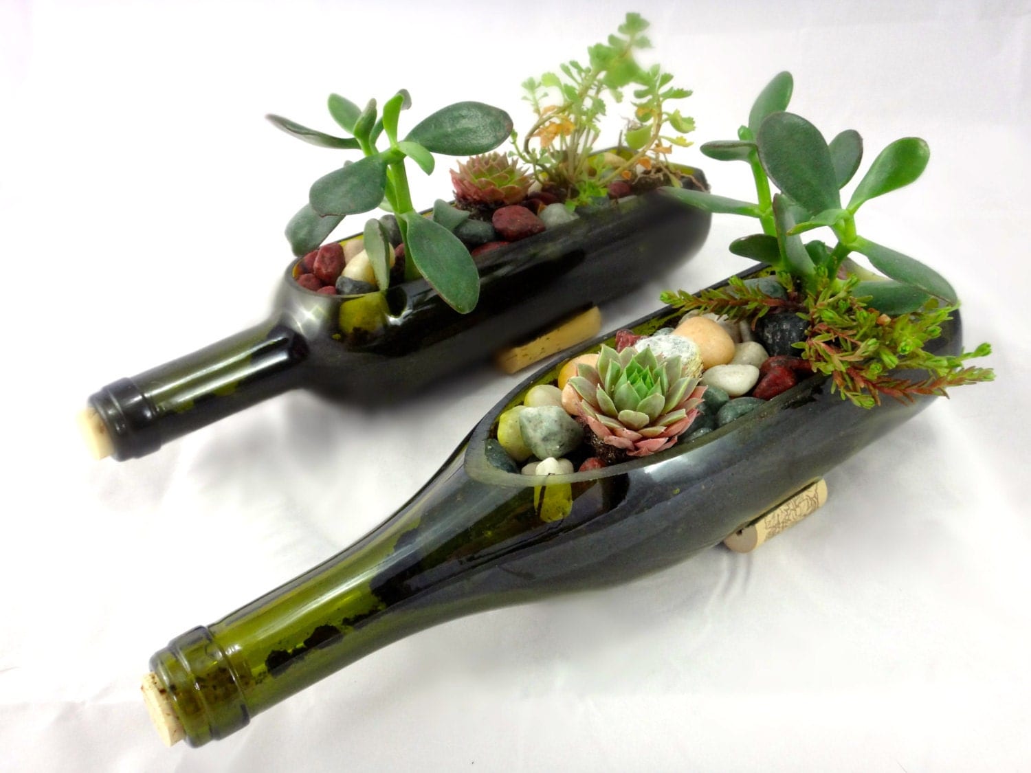 Wine bottle planter Idea