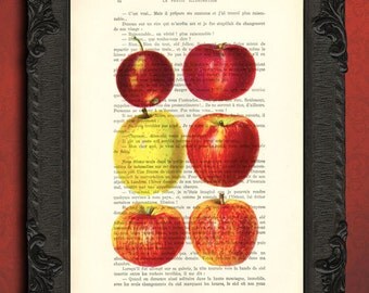 Apple kitchen decor, red apple art print, illustration on book page, farmhouse decor, apple tree poster, farmhouse antiques
