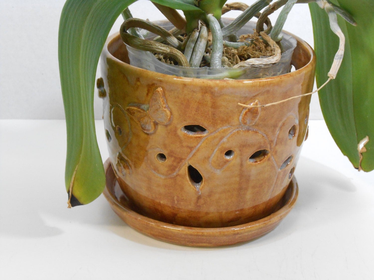  Ceramic  orchid  pot  with saucer in golden tan by 