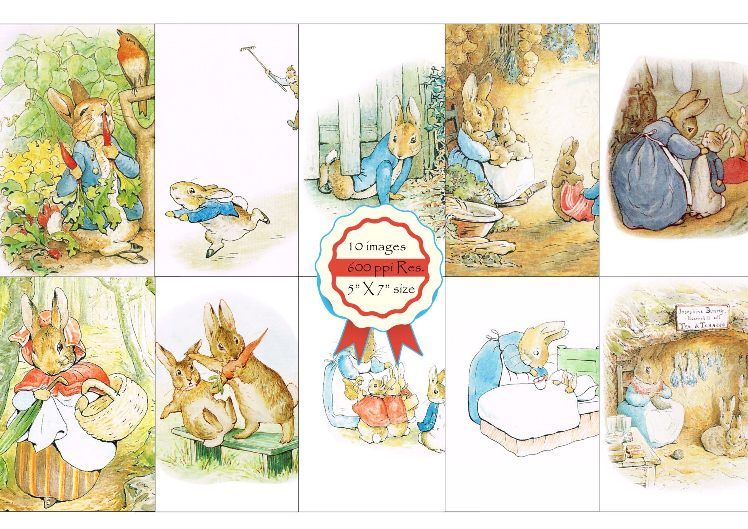 Easter Cards PETER RABBIT Beatrix Potter Bunny