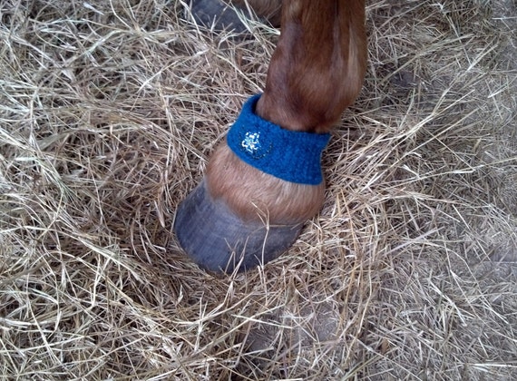 Teal Felted Wool Equine Pastern Bracelet  Washable by MyBuddyBling