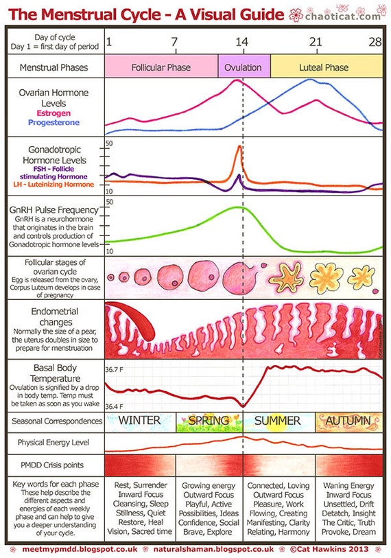 Menstrual Chart A Visual Guide A4