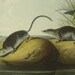 Audubon Antique Print 1854 Quadruped  Octovo American Marsh Shrew Plate 125