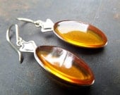 Genuine Amber Earrings,Cognac Amber Earrings,Raw Amber Earrings,Baltic Amber Earrings,Gold Amber Earrings