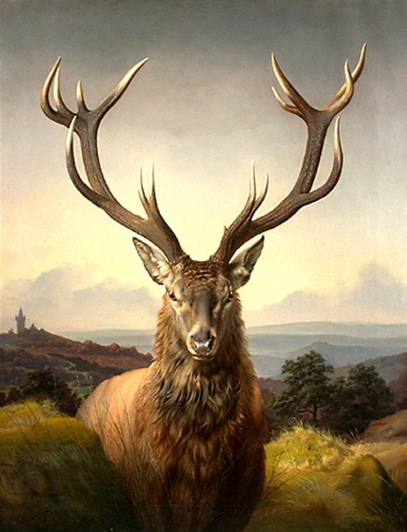 Carl Friedrich Deiker Mountain Goat Stag 19th Century