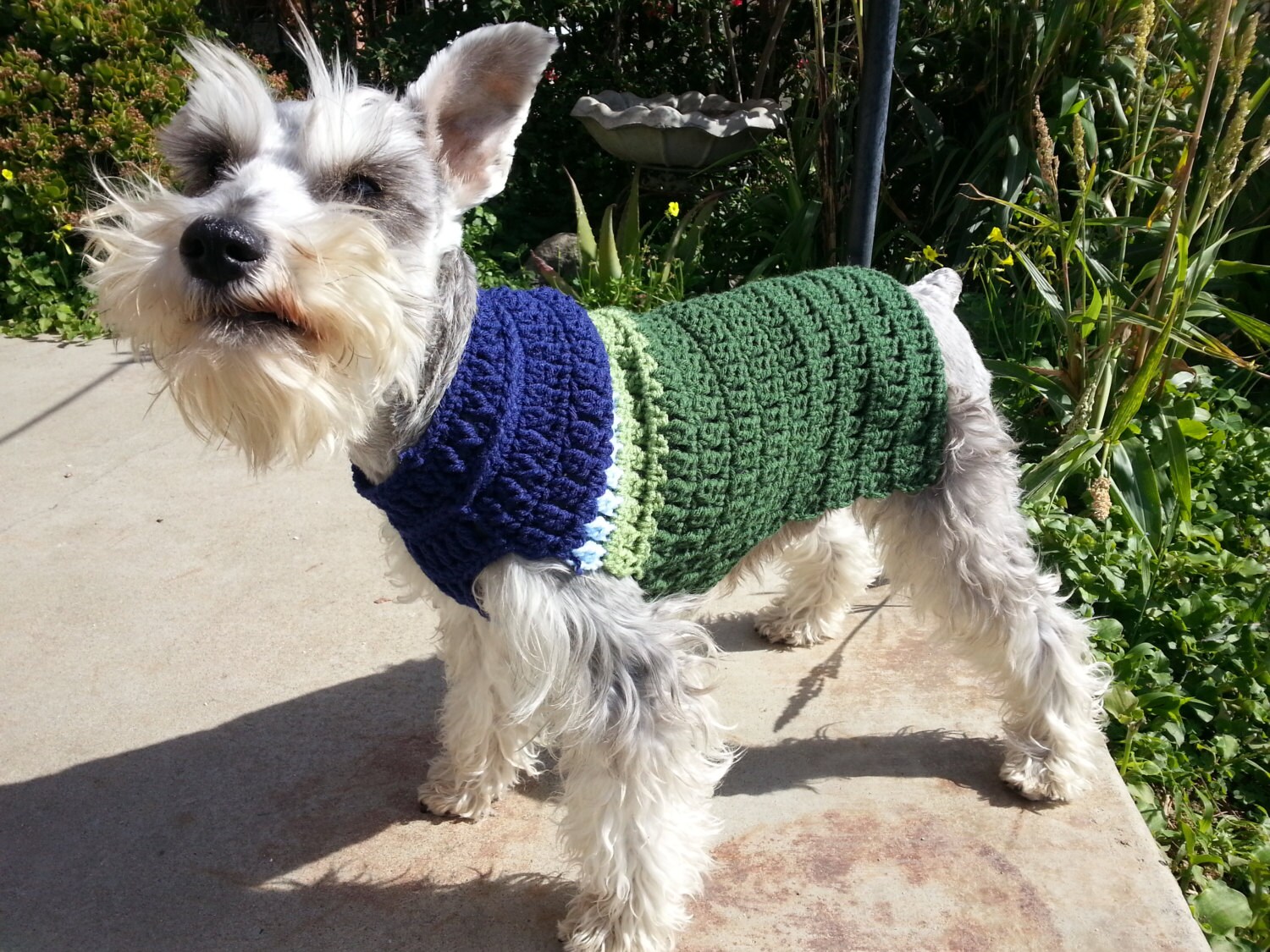 FY.104 Comfy Cozy Dog Sweater