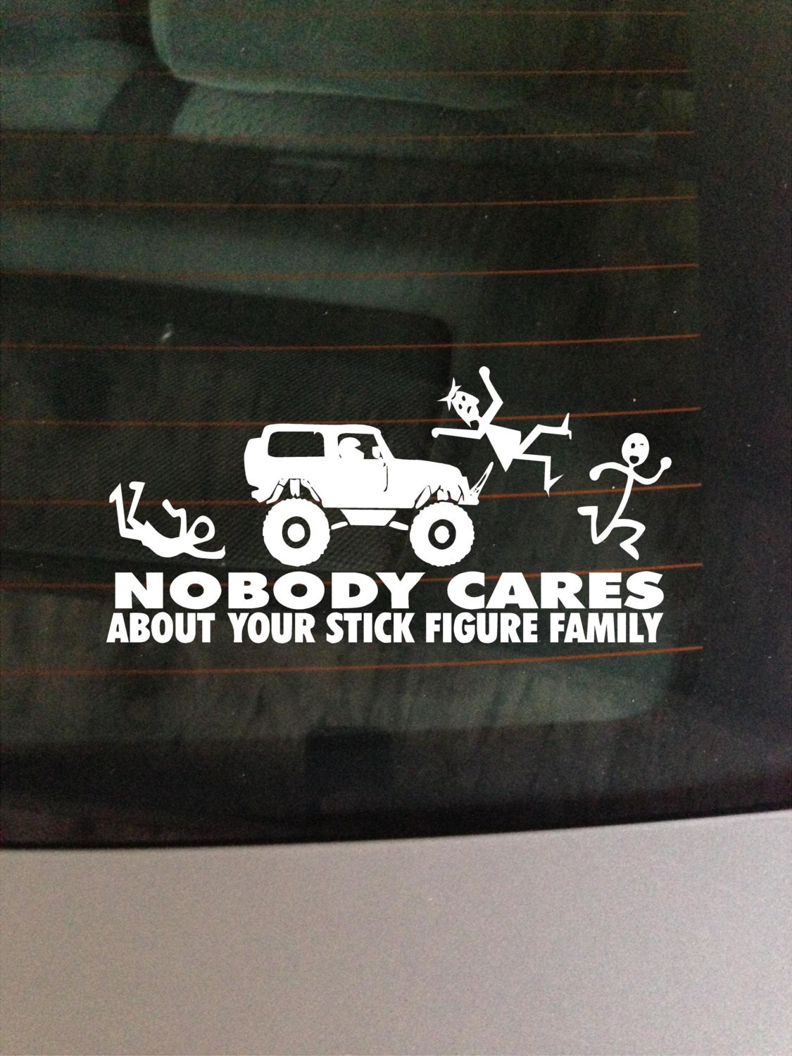 Nobody Cares About Your Stick Family vinyl by