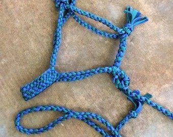 Popular items for rope halter on Etsy