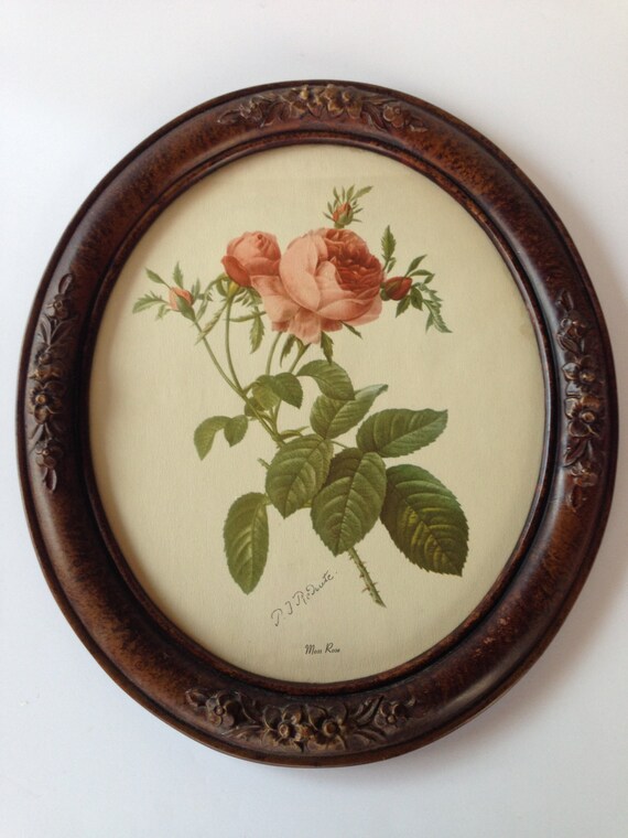 Vintage Oval Framed Print P.J. ReDoute Moss Rose